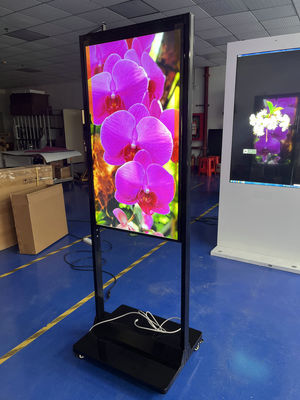 Mua Màn hình IPS hai mặt Digital Signage với kết nối WiFi và Ethernet sản xuất trực tuyến