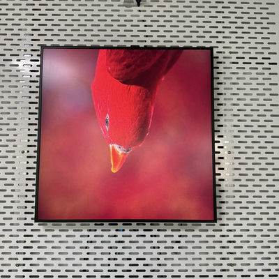 Mua Độ phân giải 948 * 948 Square All In One Digital Signage với giao diện USB HDMI RJ45 sản xuất trực tuyến