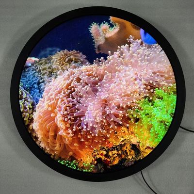 Quad-core Cortex-A53 Round Art Display Free Standing Digital Signage Và màn hình cảm ứng tùy chọn
